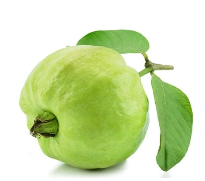 גויאבה -לא בעונה 